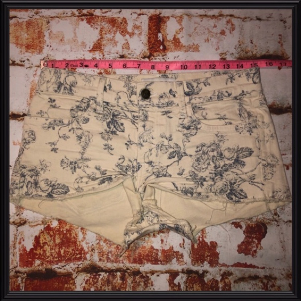 Wildfox Denim Shorts